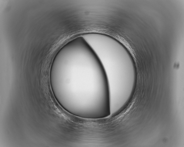 X0000096380577200801241005