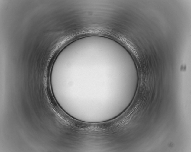 X0000096380578200801241005