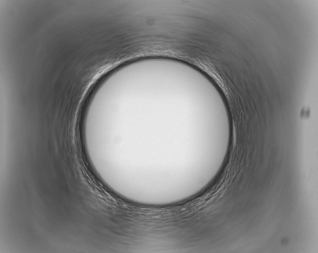 X0000096380579200801241005