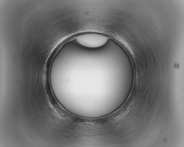 X0000096380580200801241005