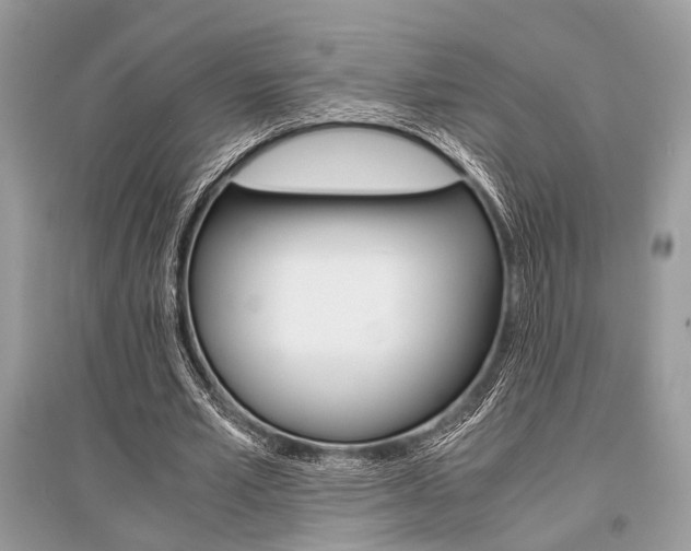 X0000096380581200801241005