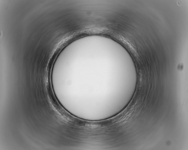 X0000096380582200801241005