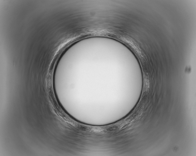 X0000096380583200801241005