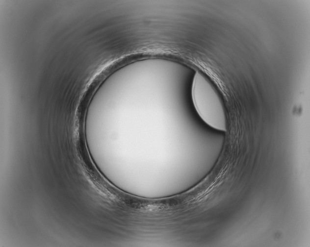 X0000096380584200801241005