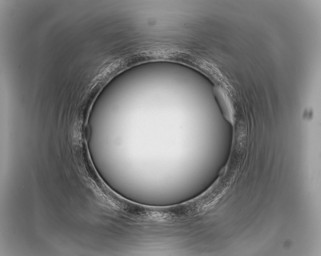 X0000096380585200801241005