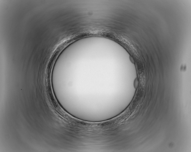 X0000096380587200801241005