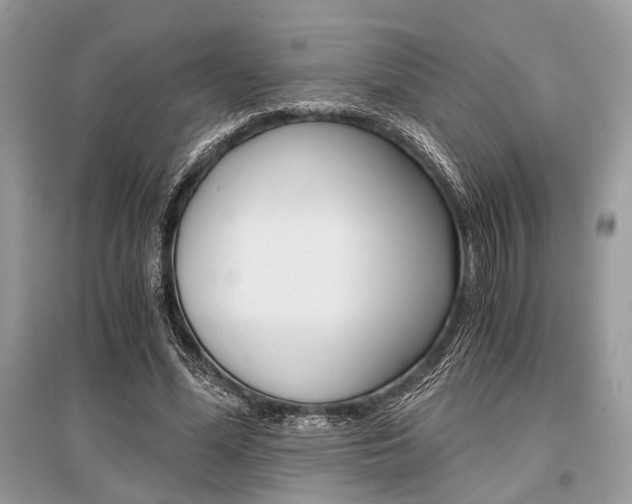 X0000096380588200801241005
