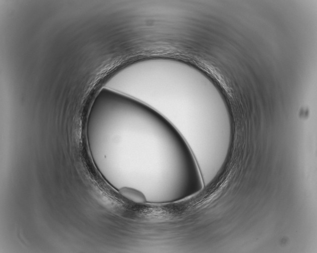 X0000096380589200801241005