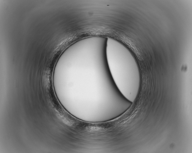 X0000096380590200801241005