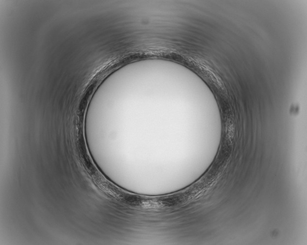 X0000096380591200801241005