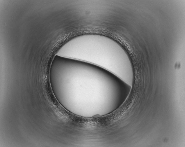 X0000096380593200801241005
