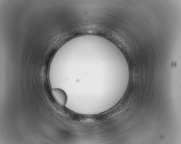 X0000096380594200801241005