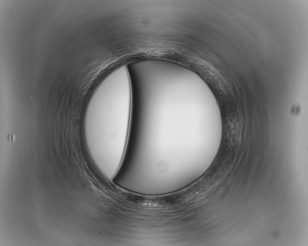 X0000096380596200801241005