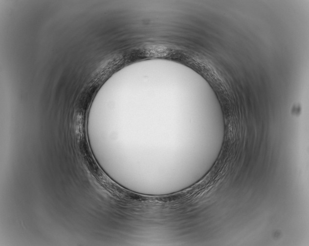 X0000096380598200801241005