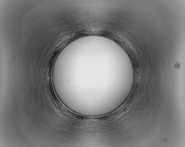X0000096380599200801241005
