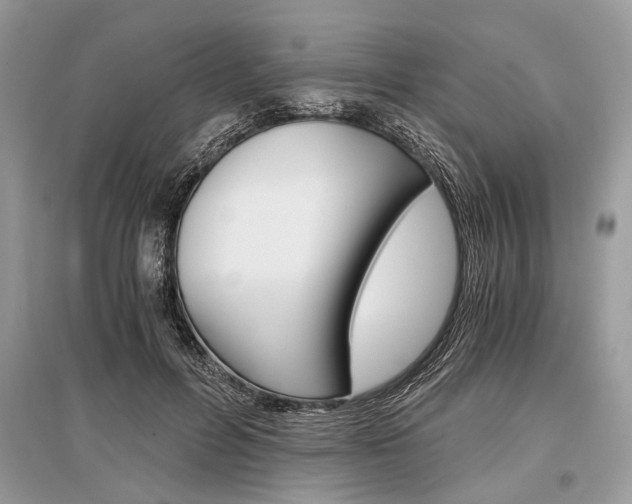 X0000096380600200801241005