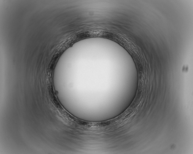 X0000096380601200801241005