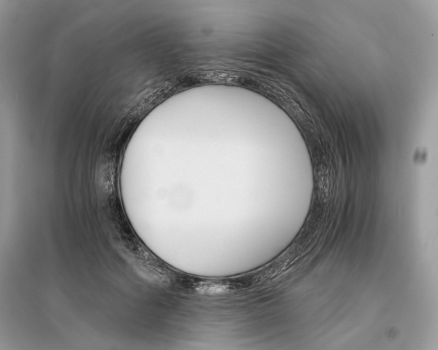 X0000096380602200801241005