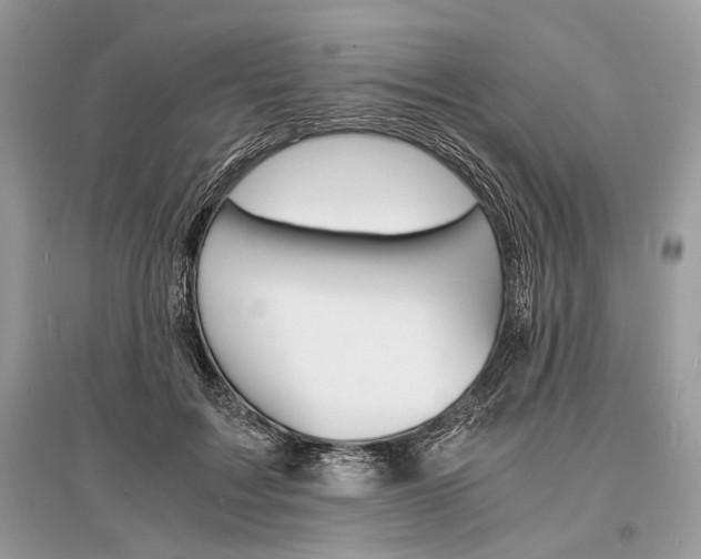 X0000096380603200801241005