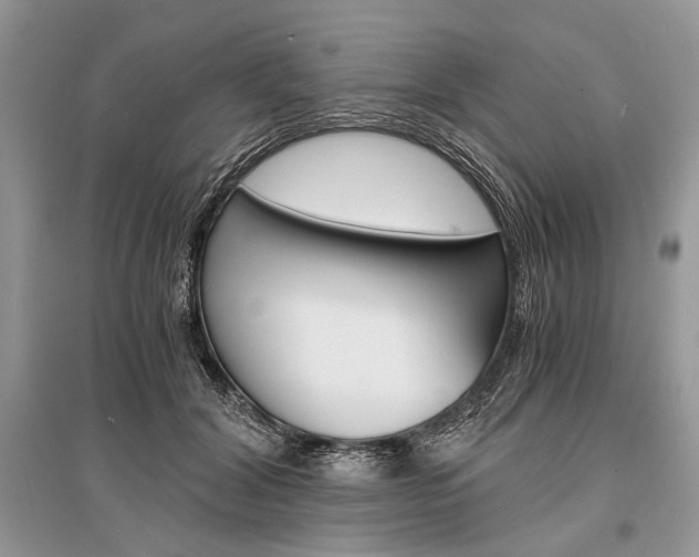 X0000096380604200801241005