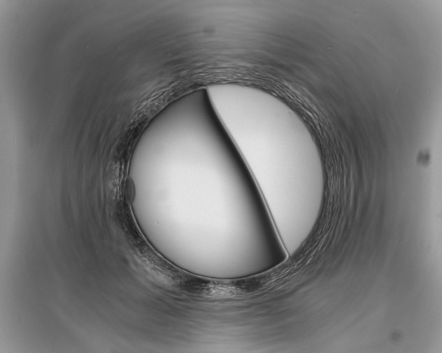 X0000096380605200801241005