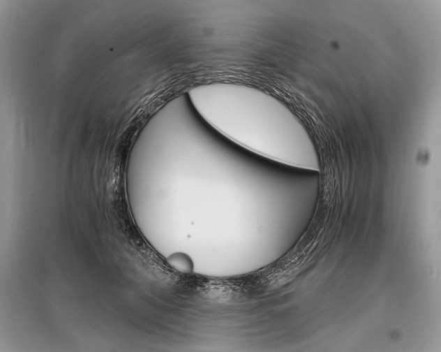 X0000096380608200801241005
