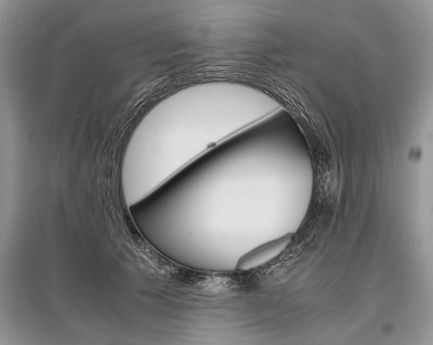 X0000096380609200801241005