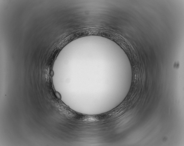 X0000096380610200801241005