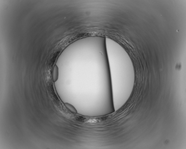 X0000096380611200801241005