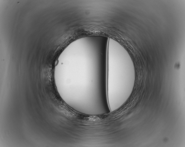 X0000096380612200801241005