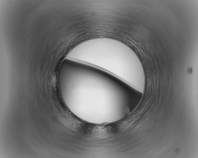 X0000096380613200801241005