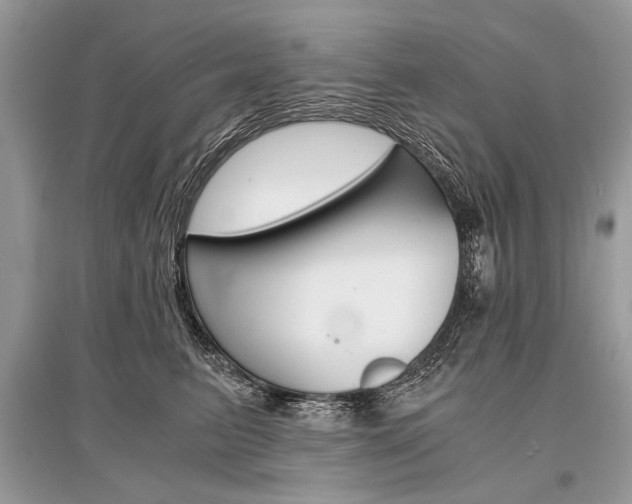 X0000096380615200801241005