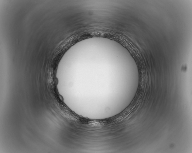X0000096380616200801241005