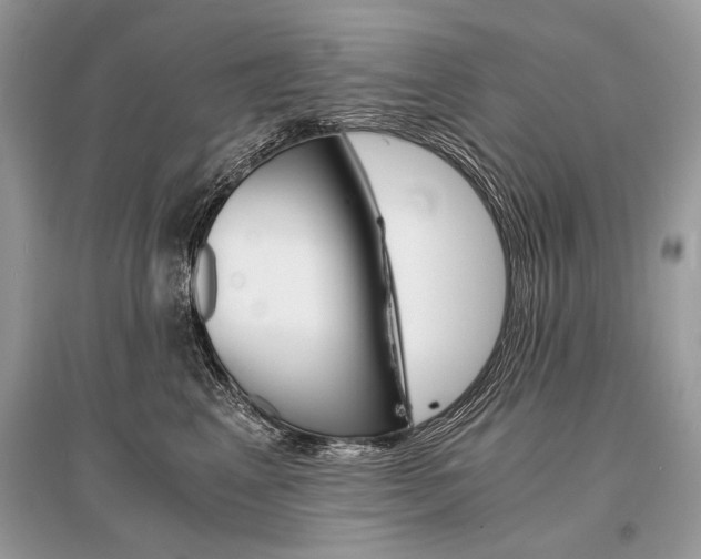 X0000096380617200801241005