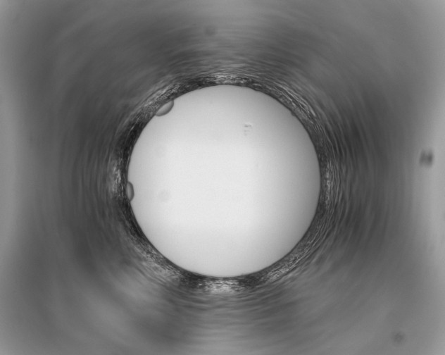 X0000096380618200801241005