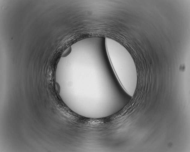 X0000096380619200801241005