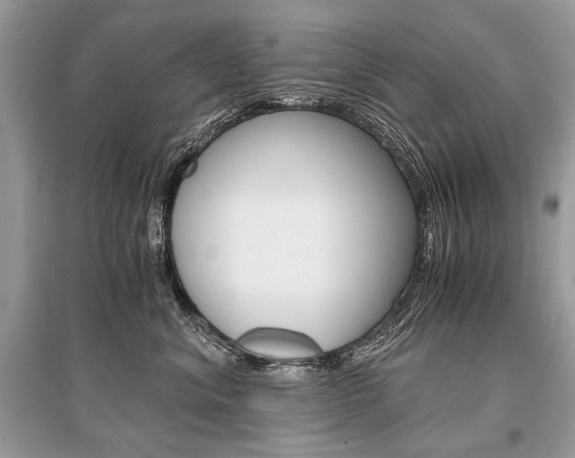 X0000096380620200801241005