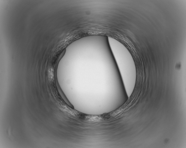 X0000096380621200801241005