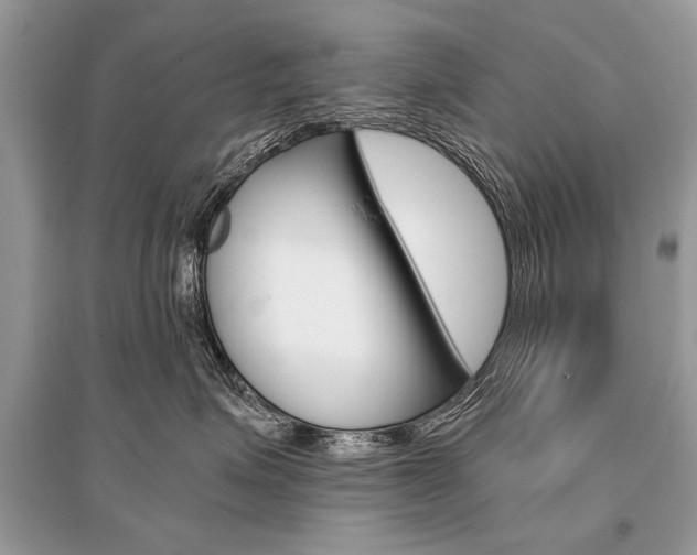 X0000096380623200801241005