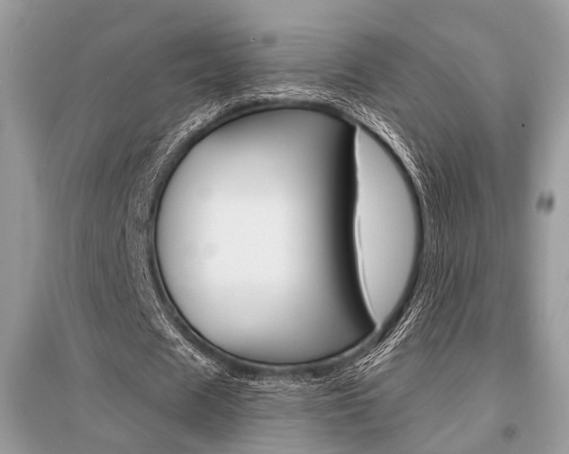 X0000096380625200801241004