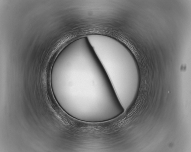 X0000096380626200801241004