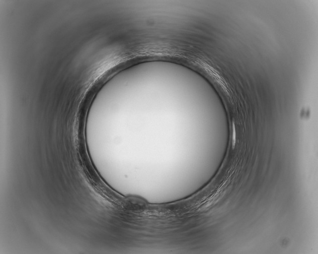X0000096380627200801241004