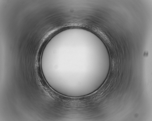 X0000096380628200801241004