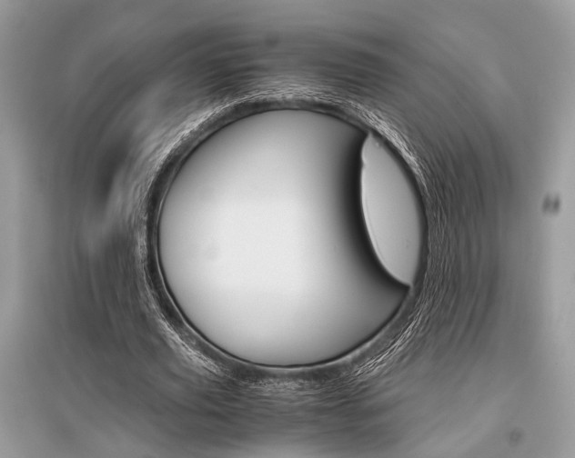 X0000096380629200801241004