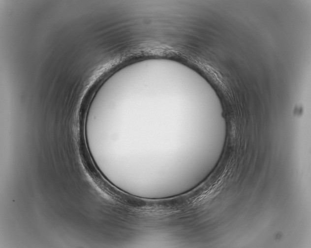 X0000096380630200801241004