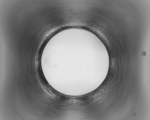 X0000096380632200801241004