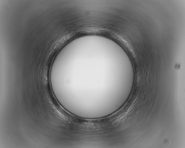 X0000096380633200801241004
