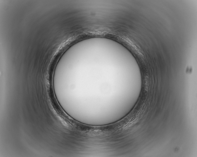 X0000096380634200801241004