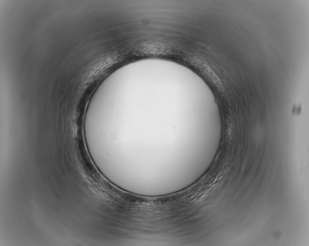 X0000096380635200801241004