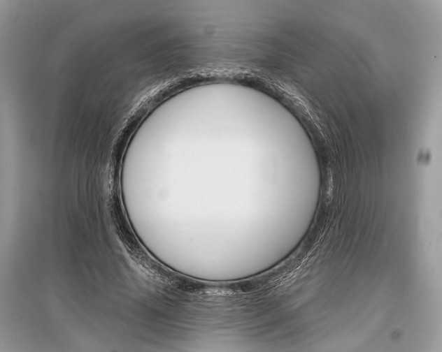 X0000096380636200801241004